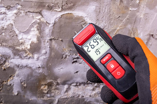 Best Local Mold Removal Service  in Stevenson Ranch, CA